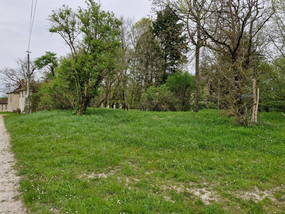 Semis de gazon près de Razac-sur-l'Isle
