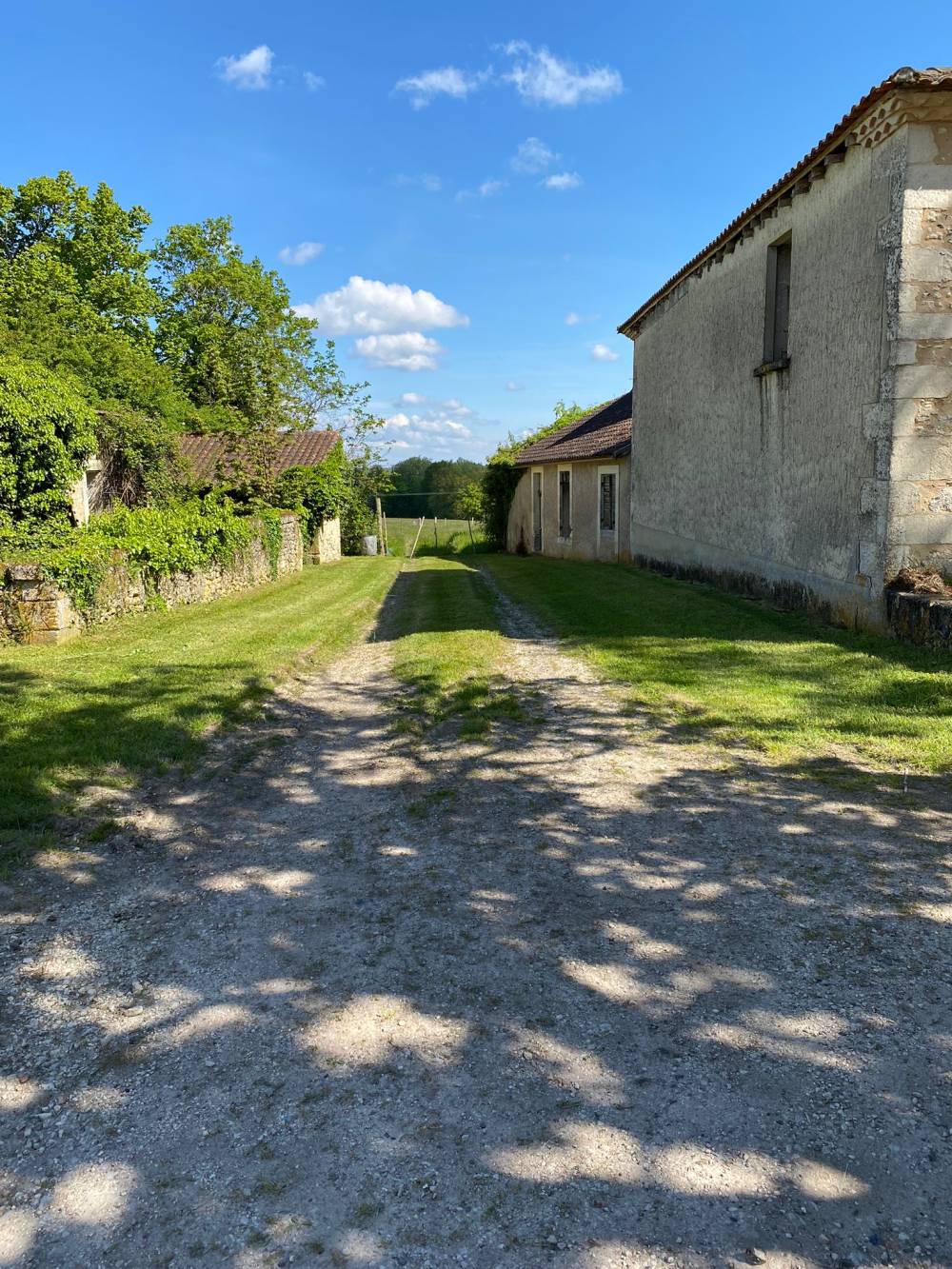 Entretien de parcs et jardins près de Razac-sur-l'Isle